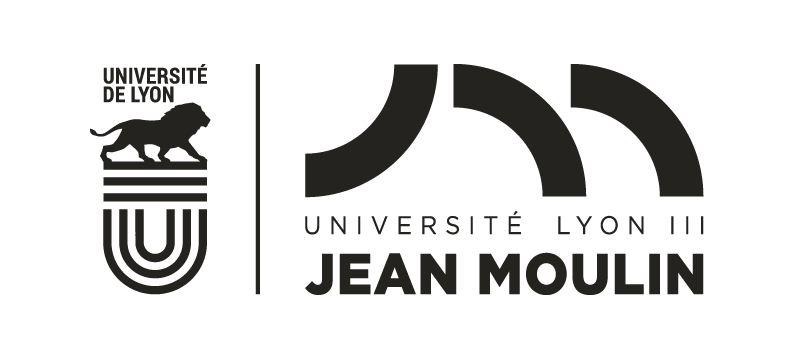 UDL-Lyon3_WEB